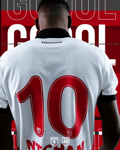 King Of The North GIF by SAMSUNSPOR