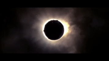 KJ SAWKA GIF