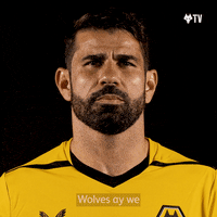Diego Costa Football GIF by Wolves