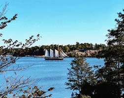 Travel GIF