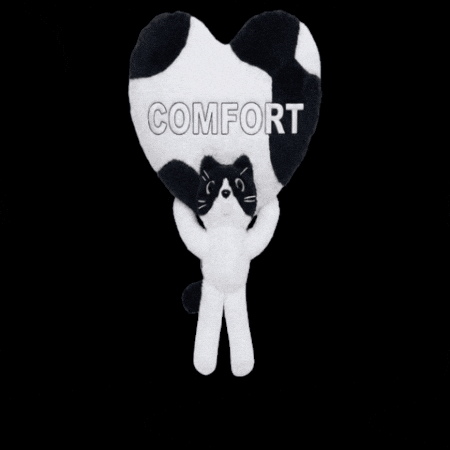 Cat Love GIF by comfortseoul