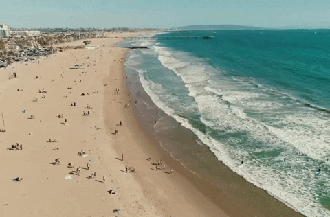 California GIF - Find & Share on GIPHY