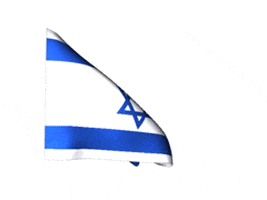 Sensation Israel GIFs - Get the best GIF on GIPHY