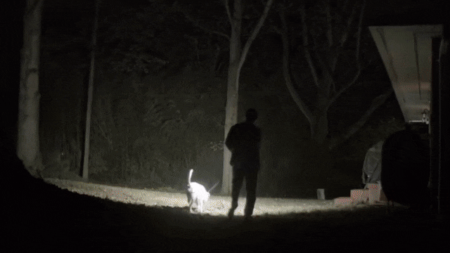 Animated GIF