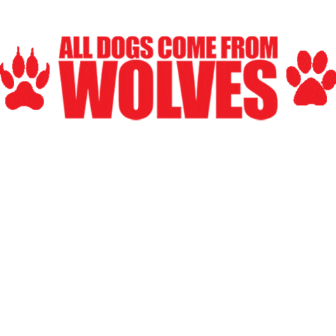 Dogs Conservation Sticker by Wolves of the Rockies