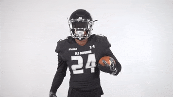 Monarchreign GIF by sgrubbs