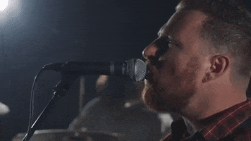 Run Rabbit Run GIF by Black Map