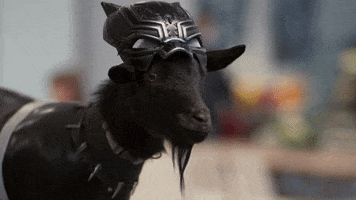 Black Panther Goat GIF by Disney+