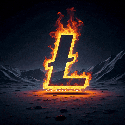 Light It Up Crypto GIF by Litecoin