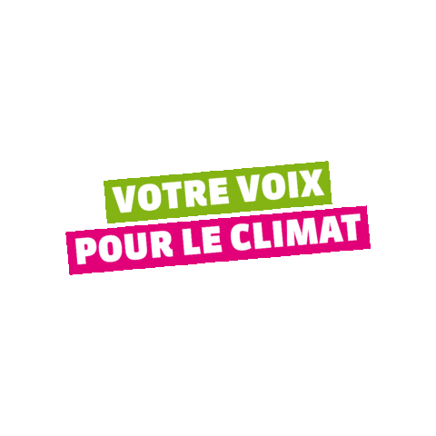 Elections Vert Sticker by GrueneBE