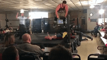 Pro Wrestling GIF
