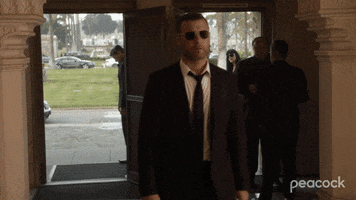 Ray Donovan Sunglasses GIF by PeacockTV