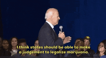 Joe Biden Marijuana GIF by Election 2020