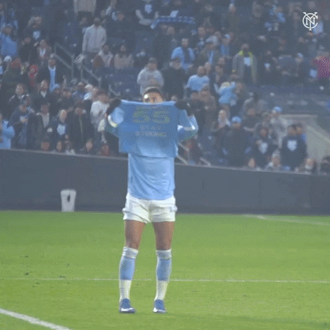 Stay Strong Major League Soccer GIF by NYCFC