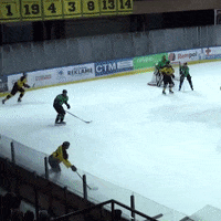 Hockey Hokej GIF by GKS Katowice