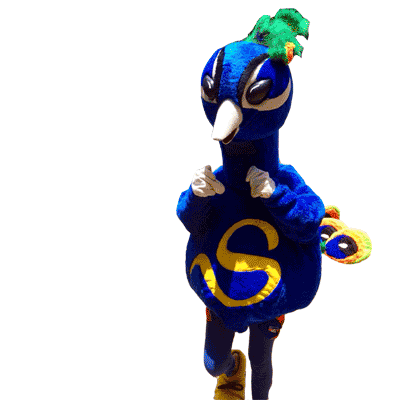 Camp Camping Sticker by shangrila