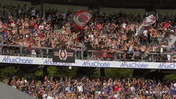 Fans GIF by FC Midtjylland