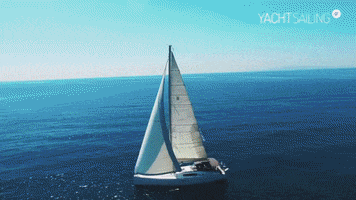 yachtsailing  GIF