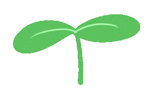 Flower Leaf Sticker