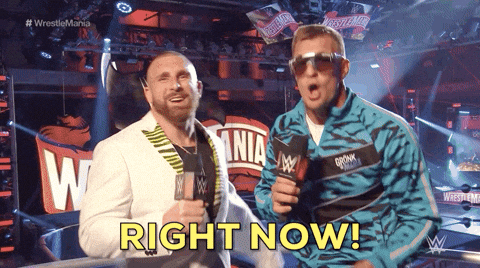 Rob Gronkowski Sport GIF by WWE by wwe