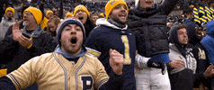 Happy College Football GIF by Pitt Panthers