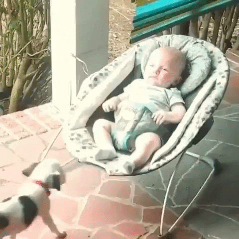 Video gif. A baby sits in a bouncy seat on a porch, and a spotted puppy crawls up onto the seat and plops down next to the baby.