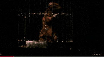 GIF by Chris City