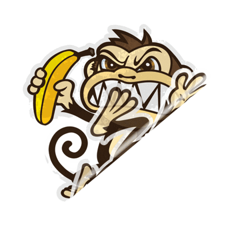 Hero Genius Sticker by Revolution Nutrition