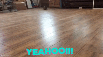 Video gif. Brown bunny scurries towards us along a hardwood floor. In a bright teal font with magenta shadows, text at the bottom reads, "YEAHOO!!!"