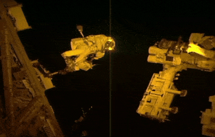 Thomas Spacewalk GIF by European Space Agency - ESA
