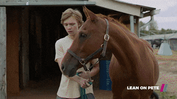 Leanonpete GIF by Showmax