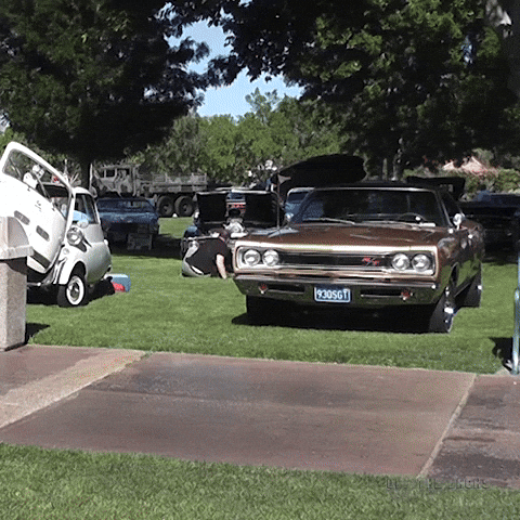 Drive Slow Ford GIF by Off The Jacks