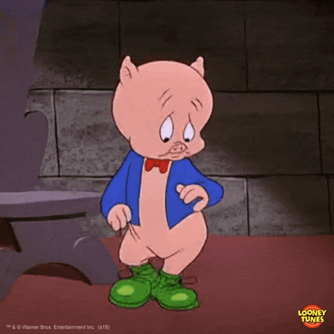 480px x 480px - Porky GIFs - Get the best GIF on GIPHY