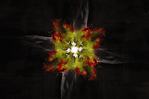 Monastrell Rotaciã³N GIF