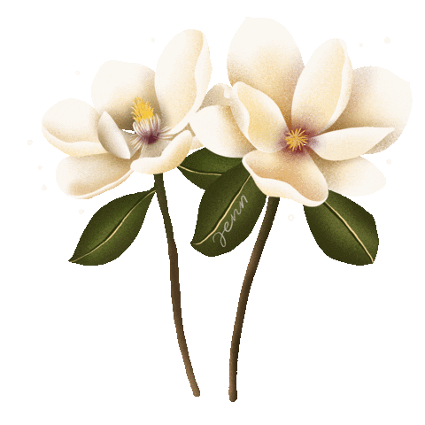 Magnolias Sticker by Jenn Arregocés