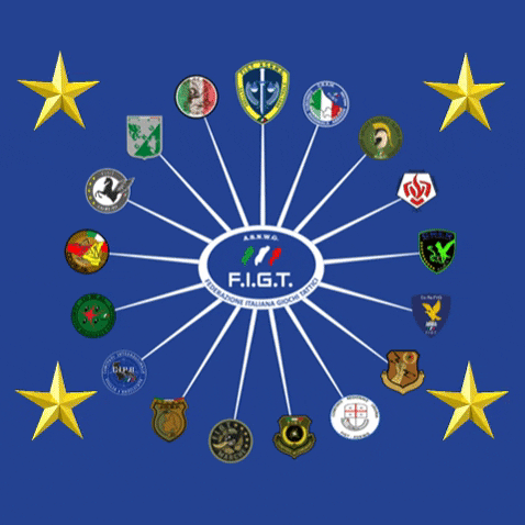 FIGT GIF