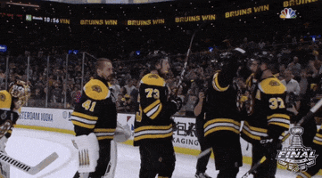 2019 stanley cup finals love GIF by NHL