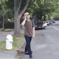 200w.gif?cid=6c09b952woqczoaejk3z2g1akzl