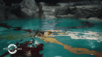 Wheel Of Time Swimming GIF by Amazon Prime Video