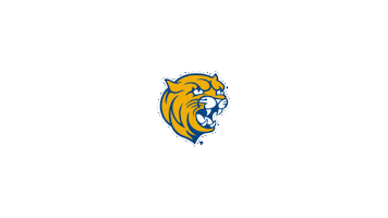 College Decision Day Sticker by Johnson & Wales University
