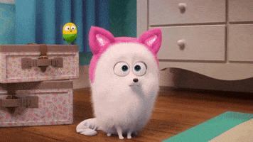 Movie What GIF by The Secret Life Of Pets