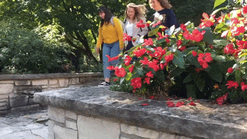 Friends Fall GIF by Marquette  University