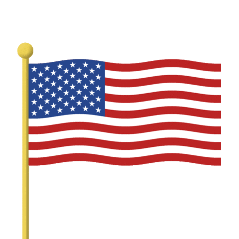Flag Waving Sticker by NRSC