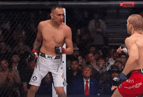 Paddy GIF