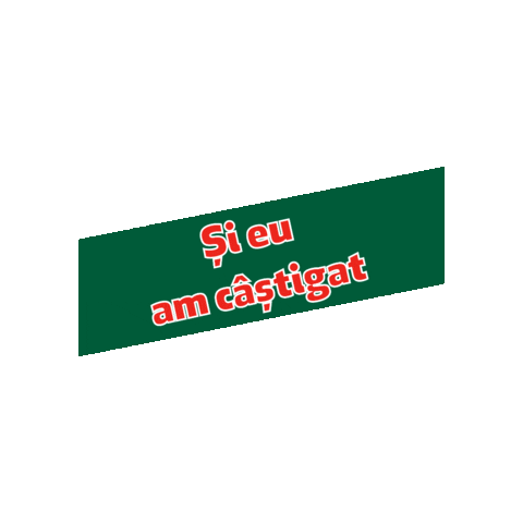 Intersnack Romania Sticker