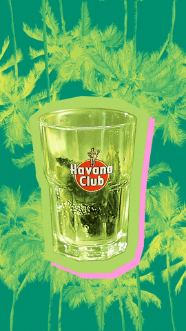 Palm Trees Drink GIF by Havana Club