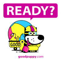 Happy Get Ready GIF by GOOD PUPPY