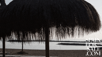 At The Beach GIF by Spain For Sale