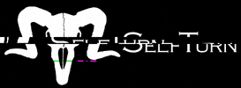 SelfTurn GIF