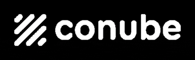 Contabilidade Contabil GIF by Conube